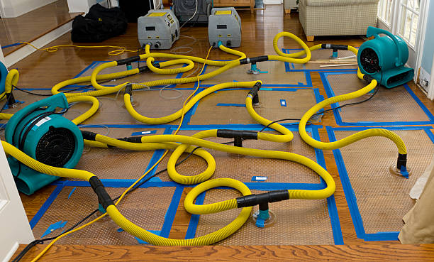 Professional Crawl Space Water Removal technician working in Government Camp, OR